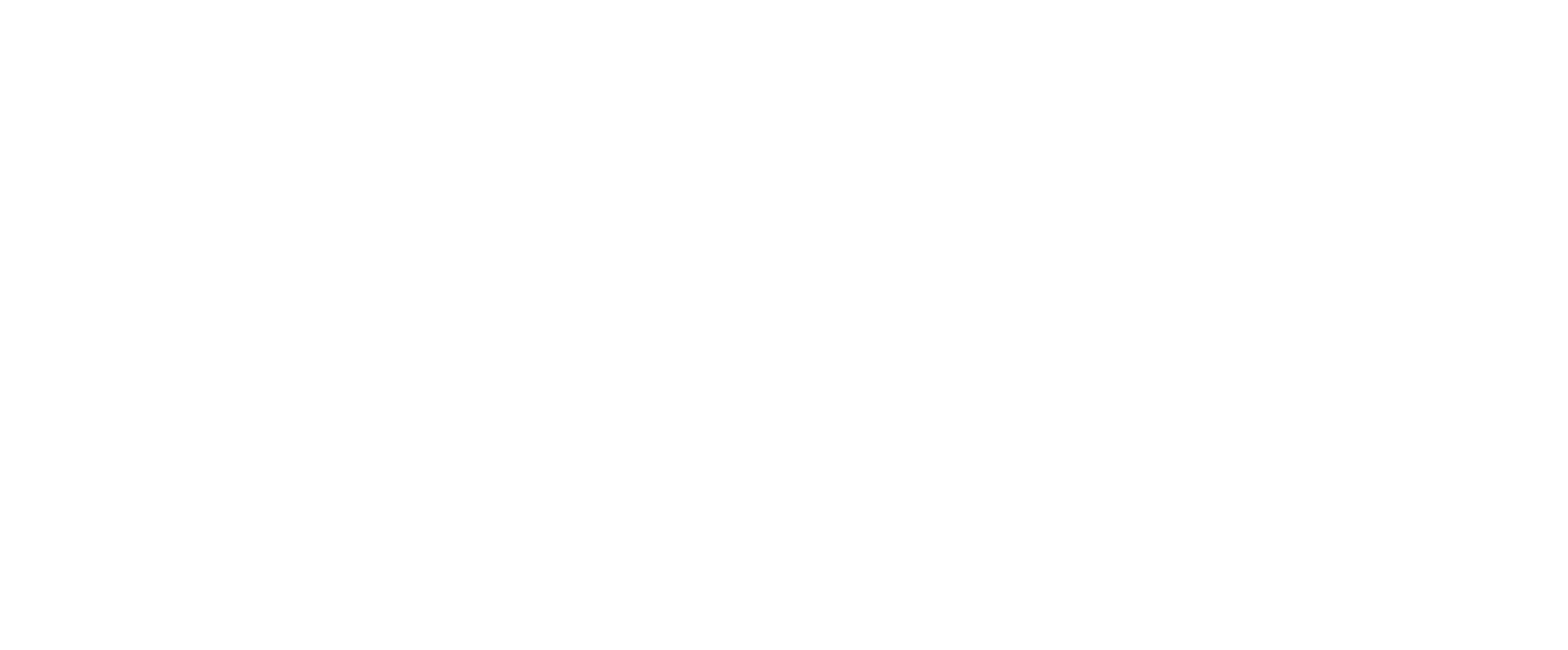 CODE WHITE - Applicants Challenge 2024